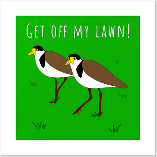 Get Off My Lawn Masked Lapwing Plover Posters and Art